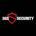 3GS